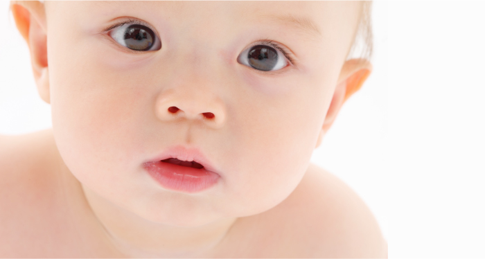 トコちゃんベルトを扱っている施設