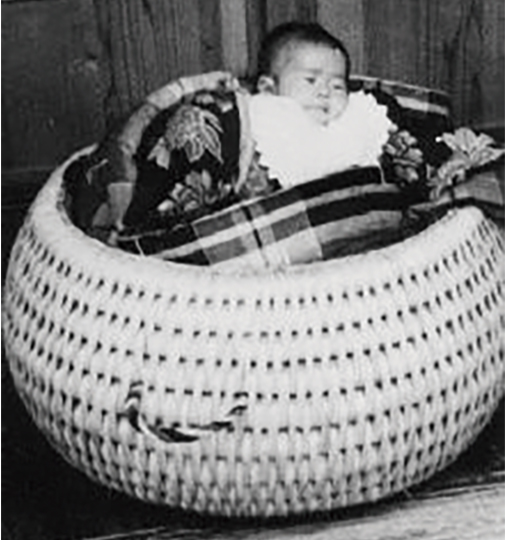 岩手県立博物館に展示