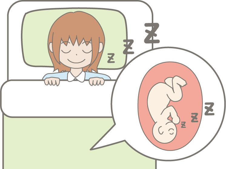 睡眠は生まれる前から