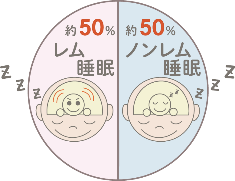 新生児期の睡眠の性質