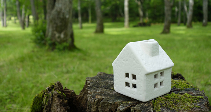 トコちゃんベルトを扱っている施設・店舗