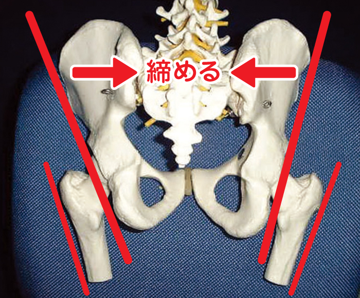 正常な骨盤（洗面器型）