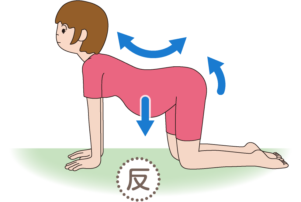 チェック【反】