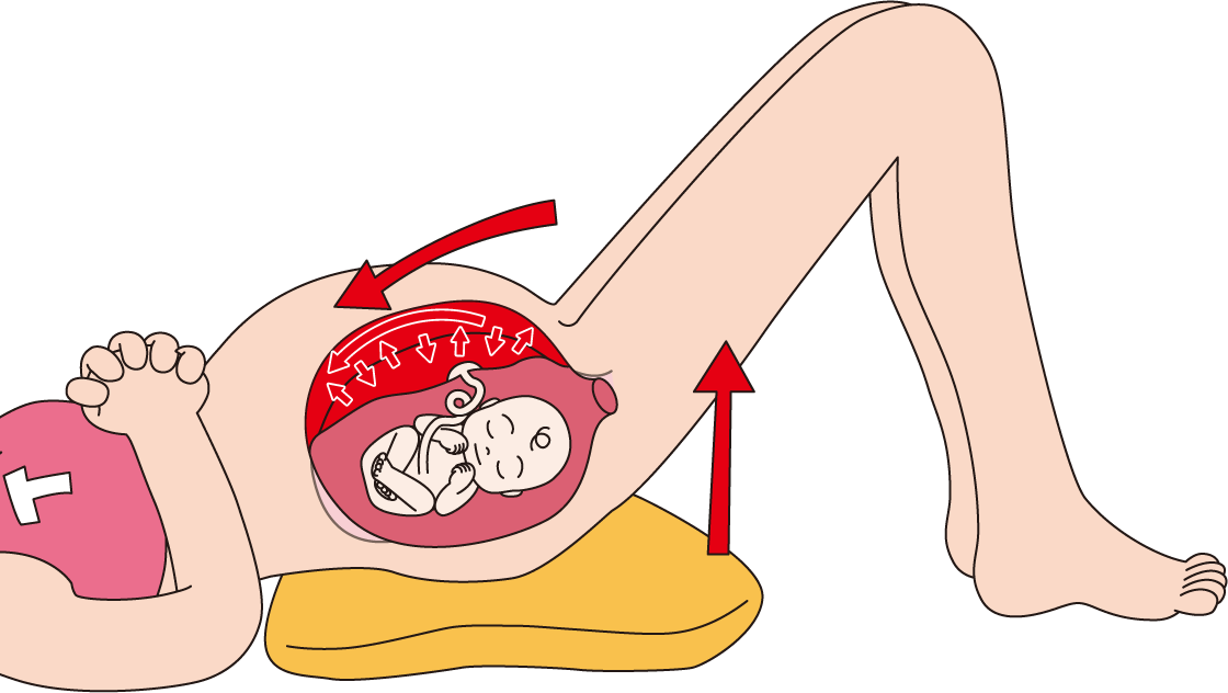 ポイントは「血のめぐり」
