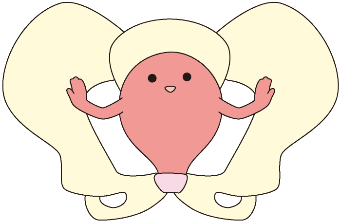 支えられた内臓