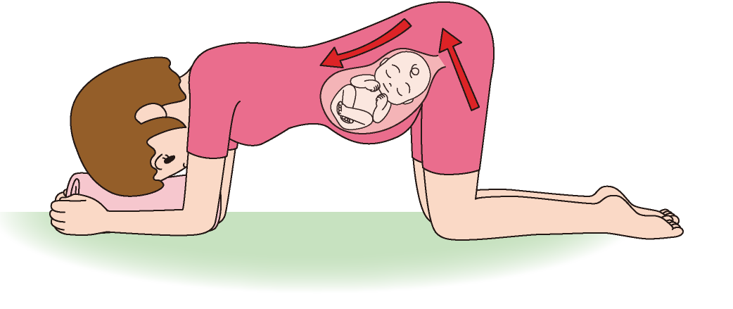 お尻ふりふりのポーズ