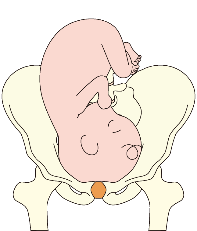 あごを引いている