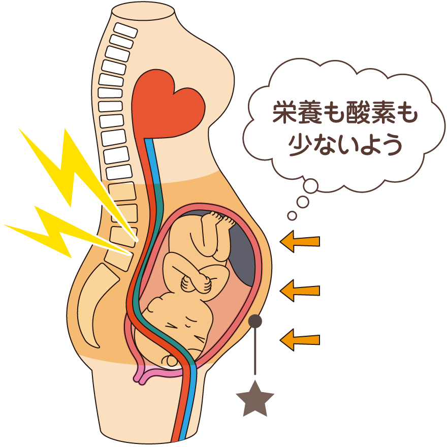 栄養も酸素も少ないよう