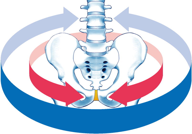ダブル巻きで骨盤全体を支える
