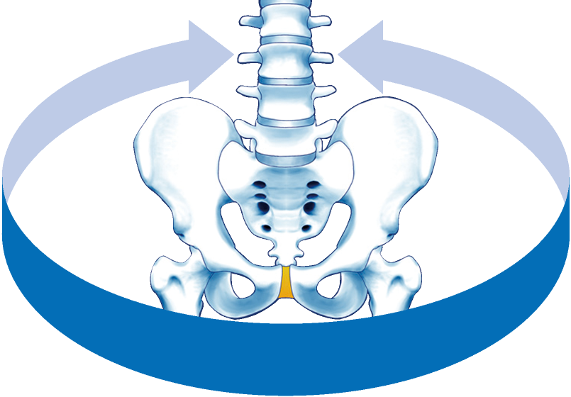 前から後ろに骨盤を支える