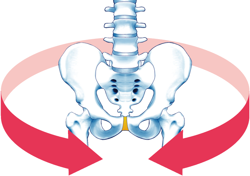 後ろから前に骨盤を支える