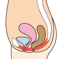 骨盤底筋を引き上げる