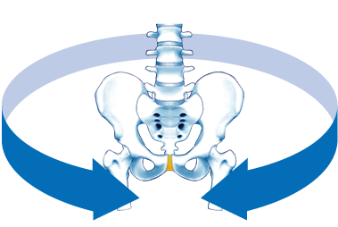 恥骨まわりを寄せる